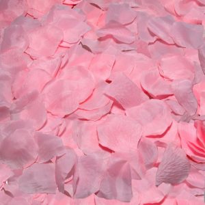 100 PETALI DI ROSA