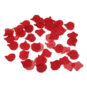 100 PETALI DI ROSA ROSSA